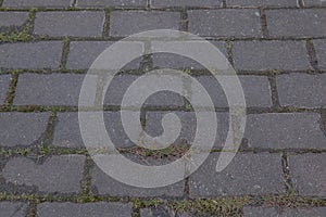 Texture, background. The pavement of granite stone. Paved roadway street. any paved area or surface. Old cobblestone road pavement