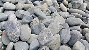 Texture background: Rock Pebbles, small, rounded, smooth pibbles