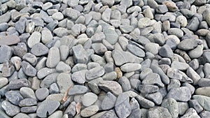 Texture background: Rock Pebbles, small, rounded, smooth pibbles