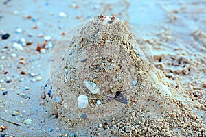 Texture and background sand castle with shells and stones on the beach, seashore. Travel and vacation