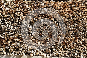 Texture and background of the surface of the pile of wood.
