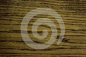 Texture background tree slit striped shrewish