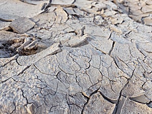 Texture, background. voluminous texture. dried dirt on the road. a mixture of sand and water, frozen in air. mud cracked from time