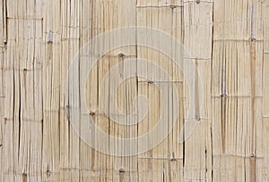 Texture of bamboo fence