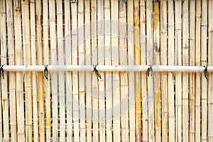 Texture bamboo fence,Natural background,light brown wooden wall