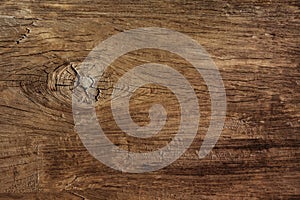 Texture of bark wood use as natural background