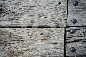 Texture of bark wood use as natural background