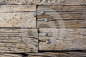 Texture of bark wood use as natural background