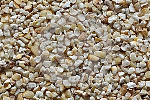 texture of barley groats top view and close-up