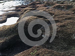 The texture on the beach