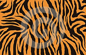 Texture of bengal tiger fur, orange stripes pattern. Animal skin print. Safari background. Vector