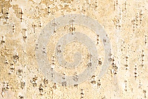 The texture of birch bark. Background of birch bark. Red birch bark. The texture white birch bark.