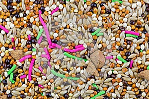 Texture of bird food mix of millet seeds, grains, crushed biscuit .