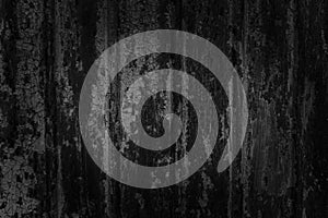 Texture of black burned grass. Black grass after fire on a field.