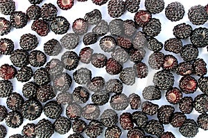 Texture of black raspberries on a white background.