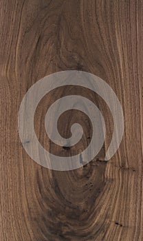 Texture of black walnut solid board untreated