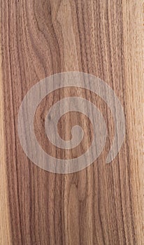 Texture of black walnut solid board untreated