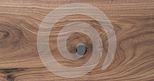 Texture of black walnut solid board untreated