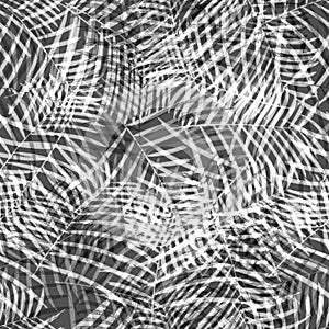 Texture Of Black And White Tropical Leaves Modern Fashion Background Pattern Seamless