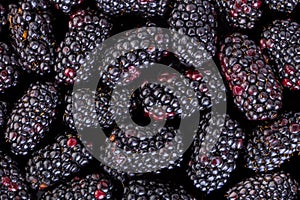 Texture of a blackberry close-up