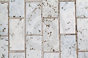 Texture of block marble background ,thailand