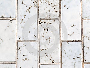 Texture of block marble background ,thailand