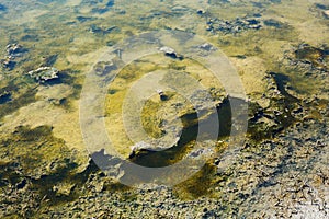 Texture of the bottom of the lake with mud