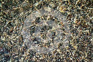 The texture of the bottom. Many small stones are visible under the clear water. Water ripples of the sea, sun rays on