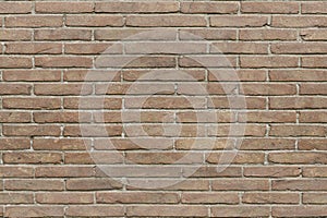 Texture. Brick wall.