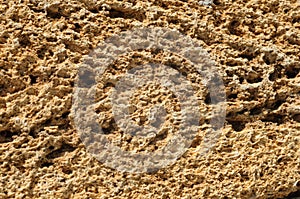 Texture of rough bricks made of shellfish