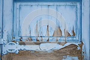 Texture of bright blue old wooden door. Paint peeling off