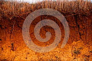 Texture of brown agricultural soil.