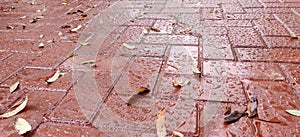 Texture. Brown paving stones after rain.