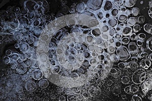 Texture of bubbles trapped under ice