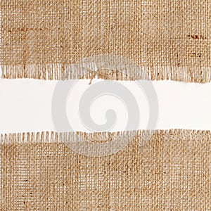 Texture of Burlap hessian square with frayed edges on white background