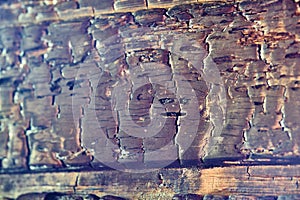 The texture of the burnt board after the fire color