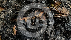 The texture of burnt leaves