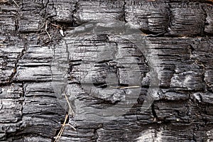 The texture of burnt wood. Close-up. Abstract background