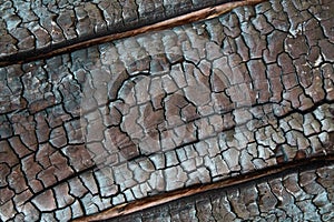 Texture of burnt wood