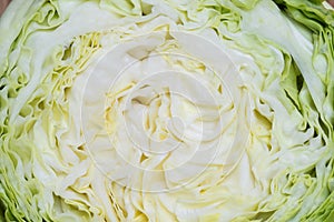 Texture of cabbage cut in half