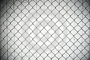 Texture the cage metal net