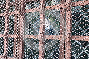 Texture the cage metal net