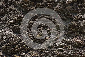 Texture of Calc-silicate rock (Metamorphic rock). photo