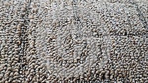 The texture of the carpet close-up. Pile, Increased weave pattern