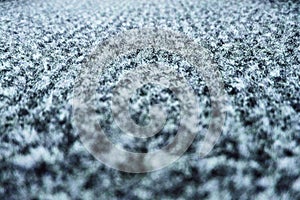 The texture of the carpet pile, white and black color