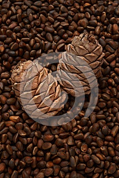 Texture of cedar or pine nuts and two ripes in center, vartical orientation