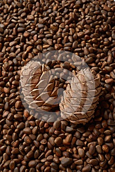 Texture of cedar or pine nuts and two ripes in center, vartical orientation close-up