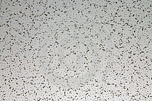 Texture - Ceiling Tile