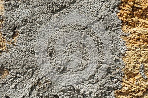 Texture of cement on brick from shellfish