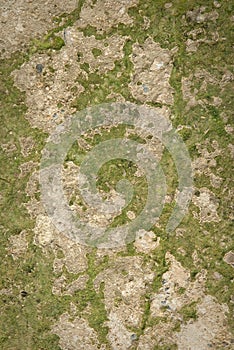 Texture of cement flooring